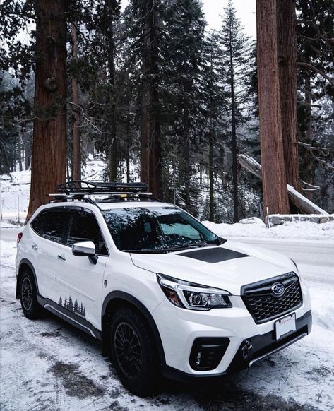 Subaru Forester White, Modified Subaru Forester, Subaru Ascent Offroad, Subaru Modified, Subaru Aesthetic, Subaru Overland, Subaru Forester Lifted, Subaru Forester Mods, Subaru Forester Sport