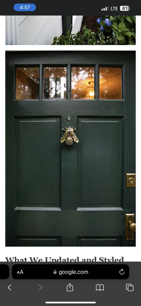 Black House Green Door, Dark Green Door Exterior, Forest Green Front Door, Goth Cabin, Dark Green Front Door, Dark Gray House Exterior, Dark Green Door, Dark Grey Houses, Green Front Door