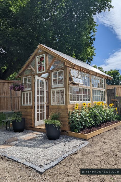 Backyard greenhouse featuring reclaimed windows, pea gravel entrance with stepping stones, and stained glass window. One one side of the greenhouse is a flower bed with cheerful sunflowers and the other side has hydrangeas. Small Old Window Greenhouse, Green House Old Windows Diy, Greenhouse Of Windows, Greenhouse Patio Ideas, Greenhouse Reclaimed Windows, Greenhouse Made With Old Windows, Greenhouse Made From Windows, Vintage Window Greenhouse, Greenhouse With Old Windows