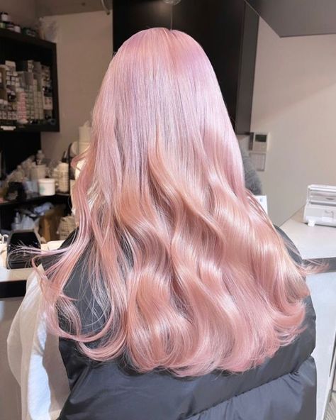 prev. softjoy on Tumblr Silver Pink Hair, Soft Pink Hair, Highlight Blonde, Light Pink Hair, Hairstyle Idea, Professional Fonts, Pretty Hair Color, Hair Stylies, Hair Ponytail Styles