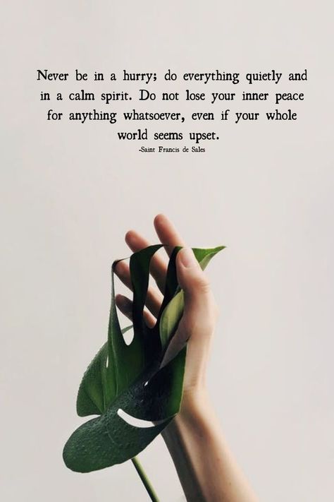 Don’t Lose Your Inner Peace! Peace Of Mind Quotes, Mental Peace, Short Quote, Soothing Quotes, Peace Quotes, Positive Quotes Motivation, Positive Quotes For Life, Motivational Quotes For Life, Mindfulness Quotes