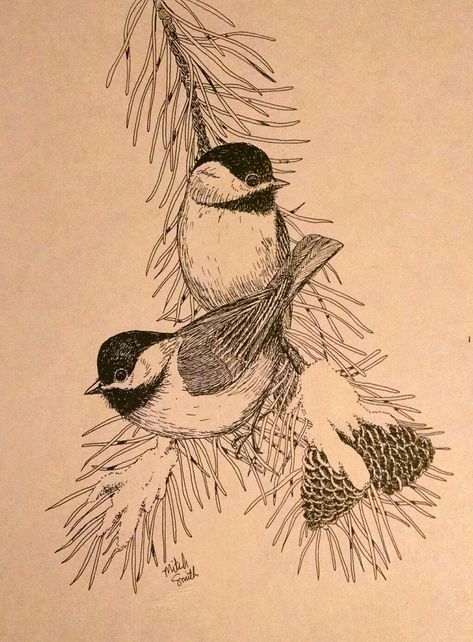 Wild Bird Tattoo, Chickadees On A Branch, Chickadee Aesthetic, Black Capped Chickadee Drawing, Mountain Chickadee Tattoo, Chickadee Sketch, Black Capped Chickadee Tattoo, Chickadee Illustration, Chickadee Drawing