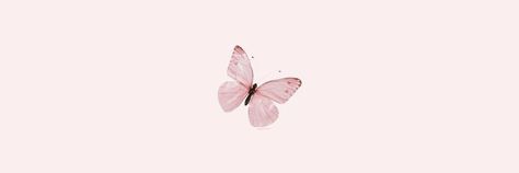 #aesthetic Light Pink Headers, Pink Twitter, Tumblr Banner, Twitter Header Quotes, Facebook Header, Header Tumblr, Cute Twitter Headers, Twitter Header Pictures, Twitter Header Aesthetic