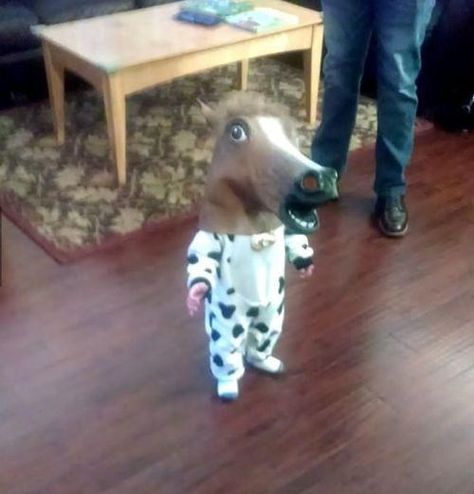 You're Never Too Young For Your First Horse Mask Humor Life, Funny Greek Quotes, Horse Mask, Cow Costume, Piskel Art, Baby Horses, Baby Cows, Greek Quotes, Cute Memes