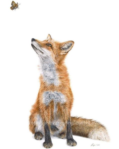 Fox Pencil Drawing, Fox Tattoo Design, Fox Artwork, Art Fox, Fox Drawing, Spirit Animal Art, Fox Painting, Fox Illustration, Fox Tattoo