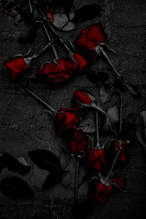 Free download gothic roses Gothika Pinterest for Desktop, Mobile & Tablet. [500x750]. 41+ Gothic Roses Wallpaper on WallpaperSafari Dark Red Rose Aesthetic, Rose Aesthetic Wallpaper, Red Rose Aesthetic, Rose Day Pic, Dark Fairytale Aesthetic, Wallpapers Rosa, Black And Red Roses, Rose Aesthetic, Red Roses Wallpaper