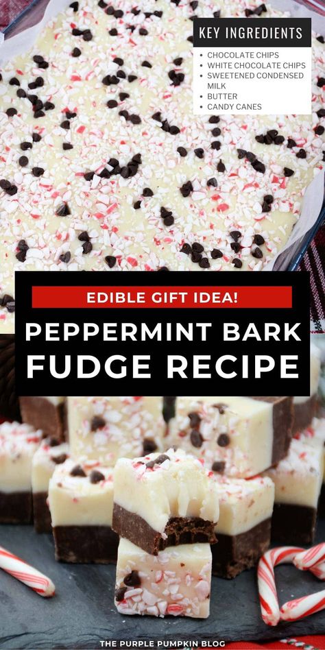 If you're looking for a festive treat to make this season, try this Peppermint Bark Fudge Recipe. It combines two classic sweet treats and is easy to make. Why not make a batch to give as a deliciously sweet gift, or just to indulge in during the holidays! Fudge With Chocolate Chips, Peppermint Bark Fudge Recipe, Peppermint Bark Fudge, Purple Pumpkin, Fudge Recipe, Peppermint Bark, Edible Gifts, Festive Treats, Fudge Recipes