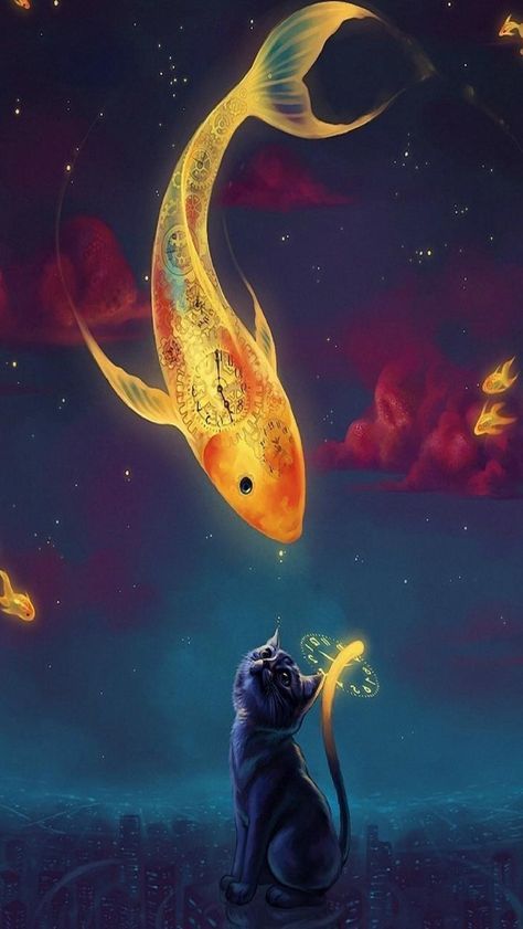 Gold Fish Wallpaper, Cat Wallpapers, Wallpaper Cat, Fish Wallpaper, Gold Fish, Phone Wallpaper, Wallpapers, Fish, Gold