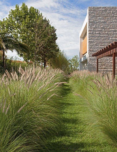 Tour the grounds of this year's most magnificently landscaped residential properties, as announced by the American Society of Landscape Architects Residential Garden, Modern Landscape Design, Grasses Garden, Landscape Design Plans, Contemporary Garden, Landscape Architects, Landscape Plans, Traditional Landscape, Landscaping Tips