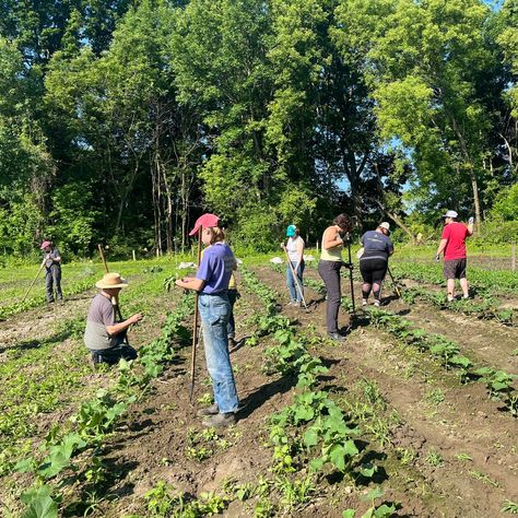 Summer's in Vermont are truly extraordinary. To celebrate the unofficial start of Summer, we're closing our doors so that we can get outside and volunteer! You'll find our teams down at the Intervale Center planting trees at the Conservation Nursery, weeding the Community garden, and harvesting veggies at the People's Farm! Our company-wide volunteer day is one more way we're helping restore and strengthen our communities and preserve and protect our environment. Please note that our retail ... Farm Volunteering, People Planting Trees, Volunteering Aesthetic, Community Volunteering, Planting Trees, Summer Storm, Lake Champlain, Community Garden, Environmental Health