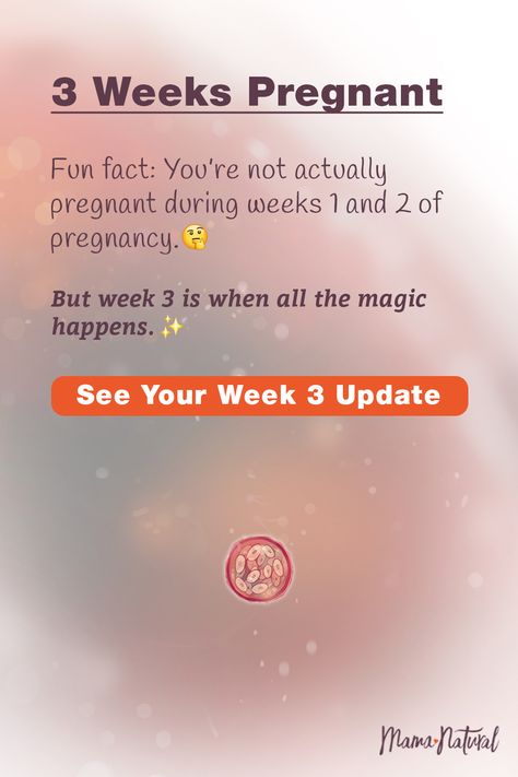 3-4 Weeks Pregnant, Week 3 Pregnancy Symptoms, 4 Weeks Pregnant Symptoms, Pregnancy Test Photos, 3 Weeks Pregnant Symptoms, Pregnancy Week Calculator, 2 Weeks Pregnant, Pregnancy Symptoms By Week, 3 Weeks Pregnant