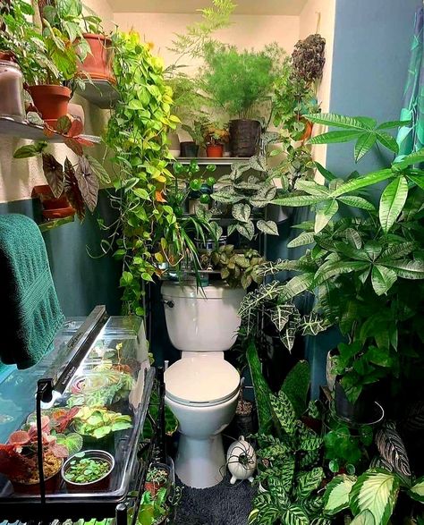 Jungle Bathroom, Houseplants Decor, Tropical Bathroom, Best Indoor Plants, Bathroom Plants, Miniature Plants, Indoor Jungle, House Plants Decor, Room With Plants