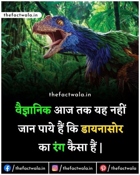 True Interesting Facts Hindi, Amazing Facts In Hindi About World, World Facts In Hindi, Saikology Fact In Hindi, Unbelievable Facts Hindi New, Amazing Fact In Hindi, Gk Knowledge In Hindi Fact, Science Facts Mind Blown In Hindi, Top 5 Amazing Facts In Hindi