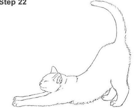 Running Cat Tattoo, Long Cat Tattoo, Tabby Cat Tattoo Simple, Stretching Cat Tattoo, Cat Stretching Drawing, Cat Walking Drawing, Cat Stretching Tattoo, Cat Outline Tattoo, Cat Tattoo Simple