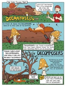 Ecosystem Interactions: Decomposers Comic with Doodle Notes Decomposers play a big role in an ecosystem! They are the organisms in charge of cleaning up all the dead plants and animals and recycling them back into the Earth. Without decomposers, our Decomposers Activity, Kindergarten Grammar Worksheets, School Comics, Kindergarten Grammar, Comic School, Characteristics Of Living Things, Science Comics, Science Doodles, Holiday Homework