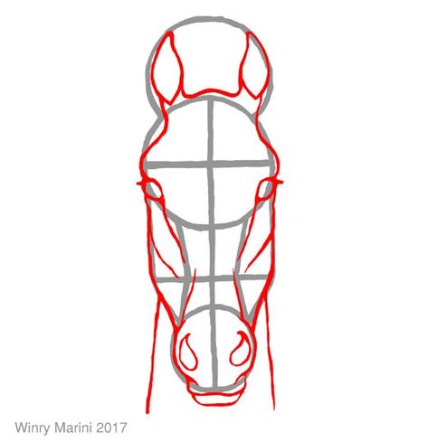 How To Draw Horse Front View, Horses Front View, Horse Drawing Front View, Horse Face Front View, Horse Sketch Step By Step, How To Draw A Horse Head, How To Draw Horse, Draw Horse Head, Drawing Ideas Horse