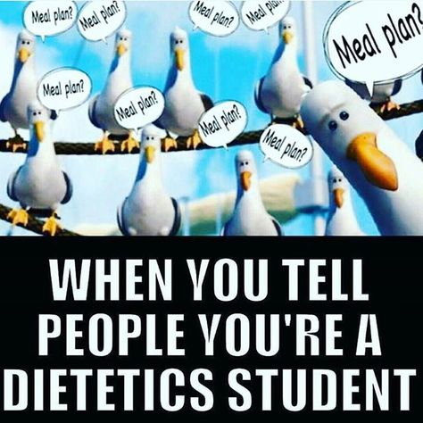 Or Dietitian! Nutritionist Quotes, Dietitian Humor, Dietetics Student, Zoodle Soup, Chicken Zoodle, Chicken Zoodle Soup, Watermelon Nutrition Facts, Strawberry Nutrition Facts, Nutrition Tracker