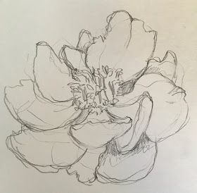 JaneVille: From my Sketchbook ~ Peonies! I love peonies. (and a mini-tutorial) Peony Drawing, Sketches Ideas, My Sketchbook, Art Diary, Arte Sketchbook, Art Kitchen, Art Drawings Sketches Creative, Book Art Drawings, Art Tutorials Drawing