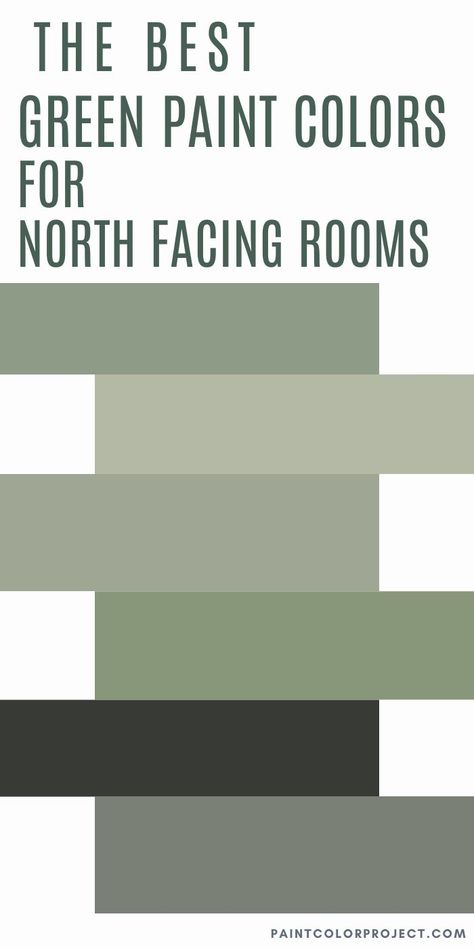 best green paint colors for north facing rooms Amazon Jungle Behr Paint, Best Green Paint For Living Room, Green For North Facing Room, North Facing Home Office, Green Paint For North Facing Room, Green Paint Bedroom Walls, Living Room Painted Accent Wall, Medium Green Walls, Green Painted Rooms Ideas