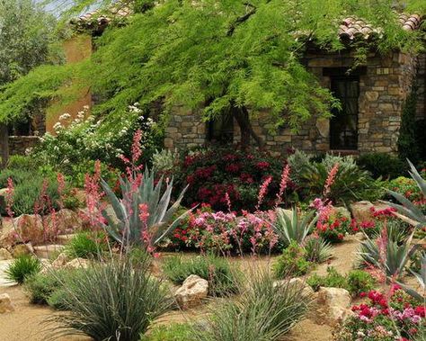 Las Vegas Desert Landscaping Ideas, Pictures, Remodel and Decor Desert Landscape Front Yard, Desert Landscape Design, Succulent Landscape Design, Landscape Gardening, Succulent Landscaping, Mediterranean Landscaping, Modern Landscape Design, Desert Garden, Traditional Landscape