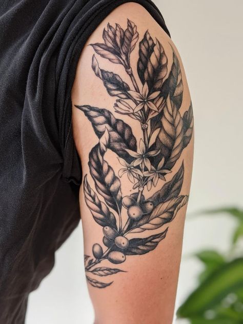 Men’s Plant Tattoo, Plant Tattoos Men, Indoor Plant Tattoo Sleeve, Branch Tattoo Men, Coffee Tree Tattoo, Plant Tattoo Men Nature, Basic Tattoos Men, Barista Tattoo Ideas, Coffee Branch Tattoo