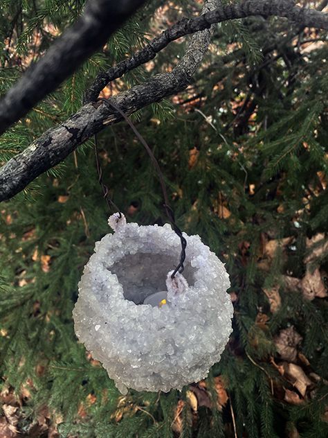 Fun Winter Solstice Craft Ideas for Kids – Wineberry Wood Press Winter Solstice Lanterns, Solstice Lanterns, Magick Crafts, Pinecone Fire Starters, Yule Crafts, Borax Crystals, Winter Solstice Celebration, Tree Lanterns, Magic Crystal