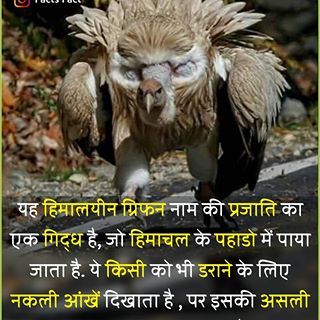 Facts Fact (@fact.s.fact) • Instagram photos and videos Fact Hindi, Science Facts Mind Blown, Youtube Facts, Facts For Students, Fun Facts About Animals, Fun Facts About Life, Interesting Facts In Hindi, Interesting Science Facts, Biology Facts