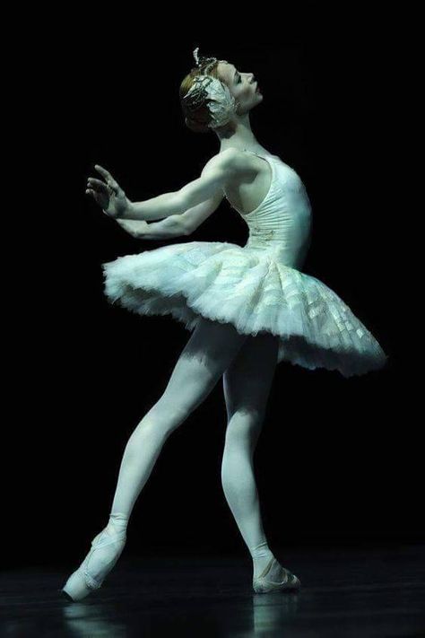 Iana Salenko (First Ballerina at Staatsballett and Principal guest at The Royal Ballet) in “Swan Lake” ” Ballet Poses Swan Lake, Ballerina Reference Pose, Ballerina Reference, Ballet Poses Reference, Ballet References, Swan Lake Aesthetic, Iana Salenko, Swan Ballerina, Ballet Pose