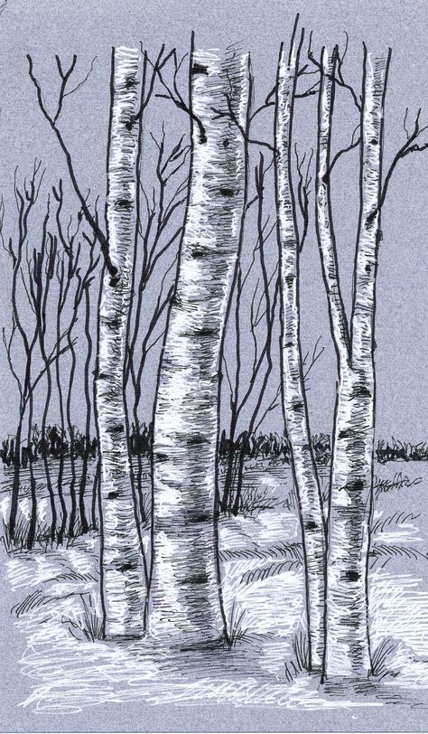 Grey Paper Drawing, Gel Pen Drawings, Birch Trees Landscaping, Sharpie Drawings, Forest Drawing, Grey Paper, Birch Tree Art, Tree Drawings Pencil, Pen Art Drawings