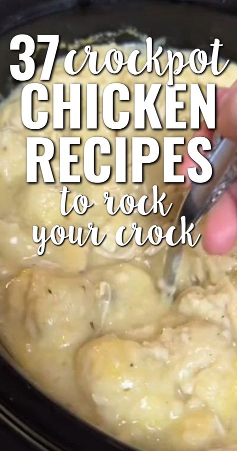 37 Crockpot Chicken Recipes That Take Slow Cooker Dump Meals To The Next Level! If you're looking for something UNIQUE to dump in your crock pot with your chicken breasts, legs, thighs, frozen chicken or whole chicken, these recipes are for you! Chicken In A Pot Recipes, Few Ingredient Crockpot Meals Chicken, Chicken In Crockpot Healthy, Chicken Cutlet Recipes Crock Pot, Shredded Chicken Crockpot Meals, Chicken Recipes In The Crockpot, Chicken Tenders Crockpot Recipes Easy, Chicken In Crock Pot Recipes Boneless, Crock Pot Chicken Tenders Recipes