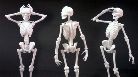 3D Printed Skeleton – Best Curated Models to 3D Print | All3DP Poseable Skeleton Ideas, Skeleton Study, Jack Skellington Mask, Skeletal Anatomy, Skeleton Ideas, 3d Printing Toys, 3d Skeleton, Skull Anatomy, Body Structure