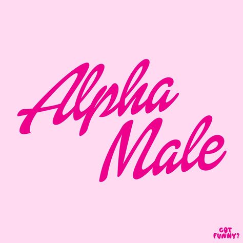 Alpha male in the barbie font alpha male in the barbie font alpha male in the b... Looking for something to make you laugh? Check out our selection of funny t-shirts, hoodies, and sweaters. Our designs are sure to get a chuckle from everyone. So whether you're in the mood for a laugh or want to show your sense of humor, we've got you covered. Got Funny, Barbie Font, Male Shirt, Funny Tshirt Design, Funny T Shirts, Sense Of Humor, In The Mood, Male T Shirt, Funny T Shirt