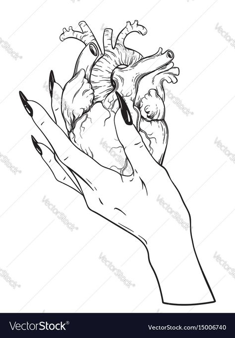 Realistic Heart Tattoo, Human Heart Drawing, Realistic Heart, Hands Holding Heart, Tattoo Hand, Hand Drawn Vector Illustrations, Heart Drawing, Desenho Tattoo, Dark Art Drawings