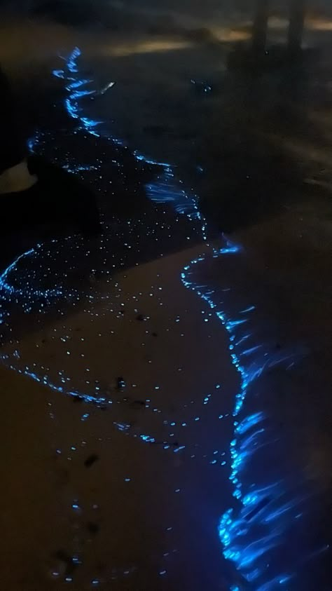 Glowing Beaches, Bioluminescence Aesthetic, Sasha Core, Midnight Zone Ocean, Bioluminescence Beach, Glowing Ocean Aesthetic, Bioluminescence Beach Aesthetic, Glowing Algae, Glow In The Dark Beach