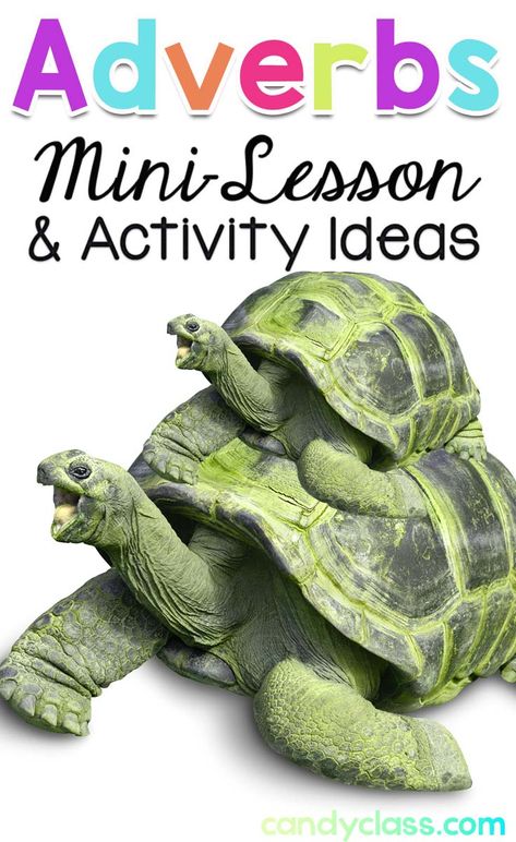 Adverbs Mini-Lesson & Activity Ideas Adverbs Second Grade, Teaching Adverbs 2nd Grade, Adverb Activities 2nd Grade, Adverb Activities 4th Grade, Adverbs Activity, Teaching Adverbs, Adverbs Lesson, Adverb Activities, Compound Sentence