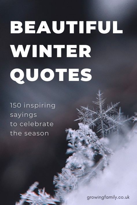 Magical Winter Quotes, Love Cold Weather Quotes, Cold Winter Night Quotes, Winter Magic Quotes, Quotes About Winter Feelings, Quotes For Winter Season, Winter Quotes Short Aesthetic, Winter Garden Quotes, Winter Greetings Quotes