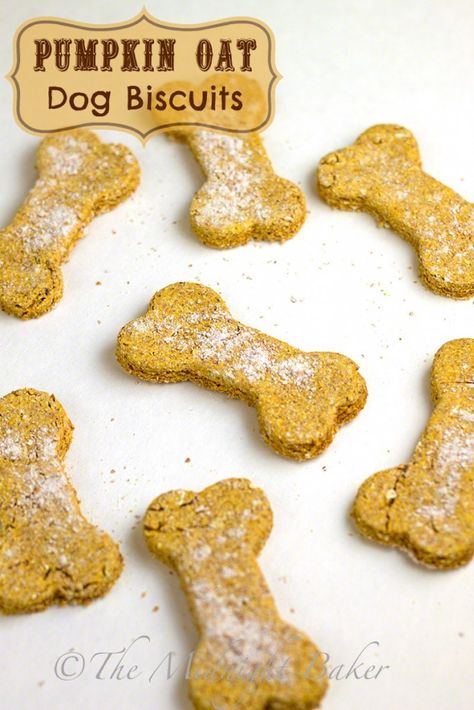 Pumpkin Oat Dog Biscuits | bakeatmidnite.com | #DogBiscuits #HomemadePetTreats #PumpkinDogBiscuits Pumpkin Dog Biscuits, Oat Biscuits, Homemade Pet Treats, Doggy Treats, Pumpkin Oats, Dog Biscuit Recipes, Dogs Christmas, Pumpkin Dog Treats, Dog Treats Homemade Recipes