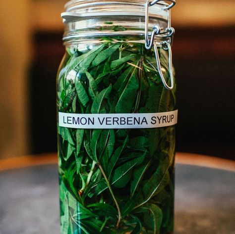 Lemon Verbena Recipes, Syrup Recipes, Simple Syrup Recipes, Herb Gardens, Herb Recipes, Herbal Recipes, Herbal Apothecary, Rum Cocktail, Sweet Lemon