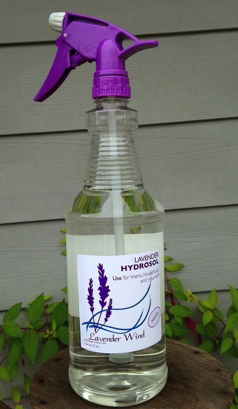 by Georgie Smith and Sarah Richards What is Lavender Hydrosol? How is it different than Lavender Essential Oil? A lot of... Lavender Hydrosol, Distillation Process, Steam Distillation, Washing Windows, What Is The Difference Between, Skin Toner, Water Flowers, Homemade Skin Care, Lavender Oil