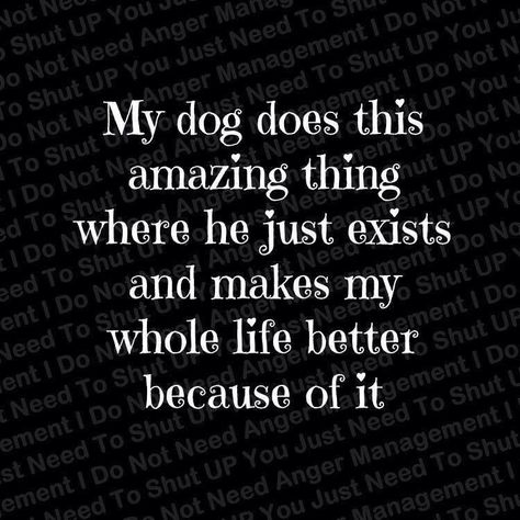 I recently lost my baby girl. She is my whole world and don't know how lo live without her. This is so true. My world was so much better because of her! thecreampiesurprise.com Lou Dog, Petit Basset Griffon Vendeen, Love My Dog, Border Terrier, My Whole Life, Burger Recipes, Labradoodle, Dog Quotes, Unconditional Love