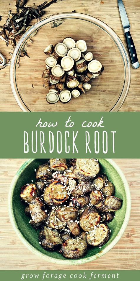 Burdock root is a terrific garden vegetable full of vitamins and minerals amazing medicinal properties - it's also delicious if you know how to cook it properly! It's perfect when simply roasted in olive oil with salt and pepper - the flavor is nutty with a slight chew. Learn a few extra additions to make your roasted burdock root extra special and to get the most out of this fall and winter side dish! Burdick Root Benefits, Foraged Food Recipes, Burdock Recipes, Burdock Root Recipes, Burdock Root Benefits, Seasonal Recipes Fall, Winter Side Dishes, Wild Food Foraging, Foraging Recipes