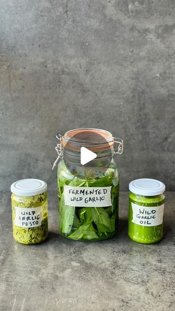 Preserved Garlic, Preserving Garlic Scapes, Wild Garlic Pesto Recipe, Wild Garlic Plant, Pickled Wild Garlic, Wild Garlic Pesto, Veg Patch, Garlic Oil, Garlic Seasoning