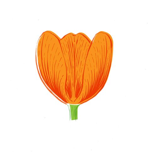 Check out this @Behance project: “Orange tulip.” https://www.behance.net/gallery/49780355/Orange-tulip Tulip Art, Tulip Drawing, Tulip Painting, Tulips Art, Orange Tulips, Behance Project, Drawing Painting, Illustration Drawing, Tulips