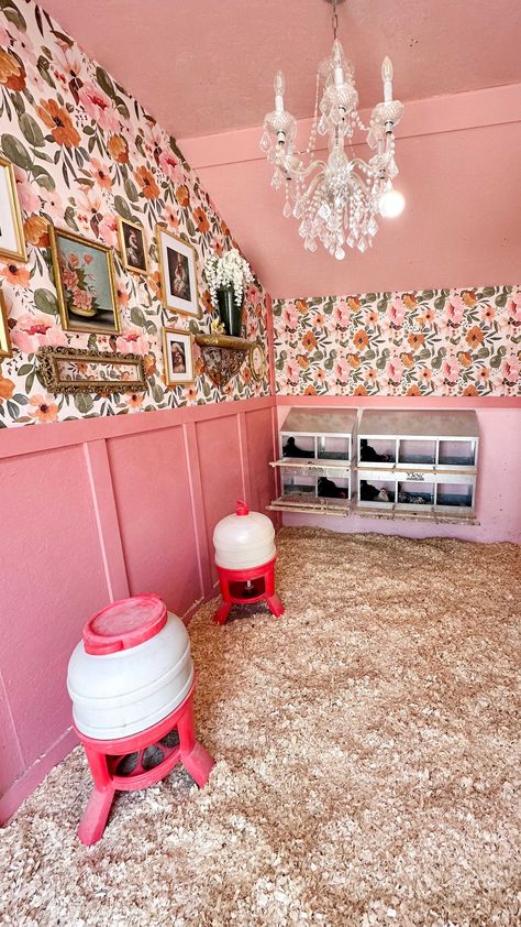 countryliving Painted Chicken Coop Ideas Hen House, Wallpapered Chicken Coop, Diy Silkie Chicken Coop, Chicken Coop With Chandelier, Chicken Nursery Coop, Wallpaper In Chicken Coop, Fancy Chicken Coop Ideas, Girly Chicken Coop, Wallpaper Chicken Coop