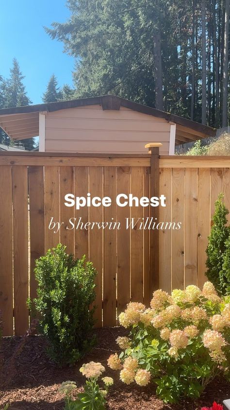 Sally Vlas - Textured Art, DIY & Home Design | Details ⬇️ We stained our fence with a semi-transparent stain - Spice Chest by @sherwinwilliams It’s a soft golden brown and almost more… | Instagram Wooden Fence Backyard, Cottage Style Privacy Fence, How To Stain A Fence, Sherwin Williams Fence Stain Colors, Painting Wood Fence, Fence Stain Ideas, Fence Stain Colors Ideas, Fence Color Ideas, Stained Wood Fence