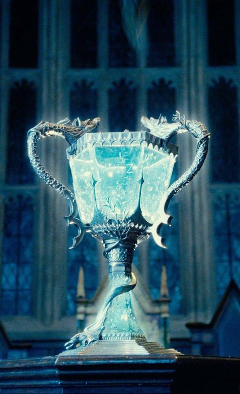 O cálice de fogo! 🏆 Harry Potter Goblet, Harry Potter Wall, Ravenclaw Aesthetic, Harry Potter Background, Buku Harry Potter, Harry Potter Images, Images Harry Potter, Hogwarts Aesthetic, Harry Potter Tumblr