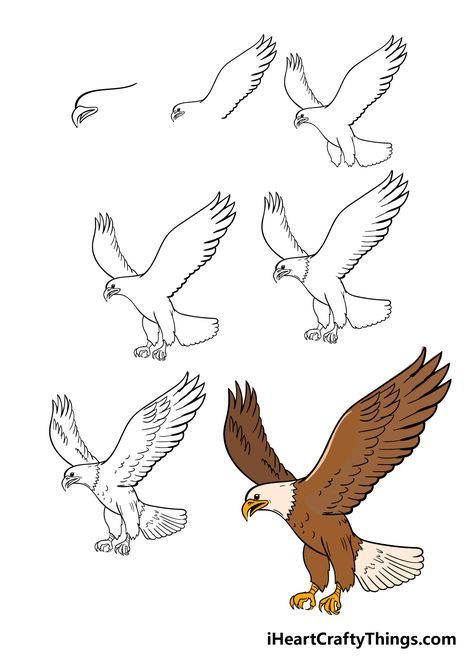 How To Draw A Egale Step By Step Easy, How To Draw A Hawk Step By Step, Eagle Step By Step Drawing, How To Draw A Bald Eagle, Drawing An Eagle, How To Draw A Phoenix Bird Step By Step, How To Draw An Eagle Step By Step, How To Draw Eagle, How To Draw An Eagle