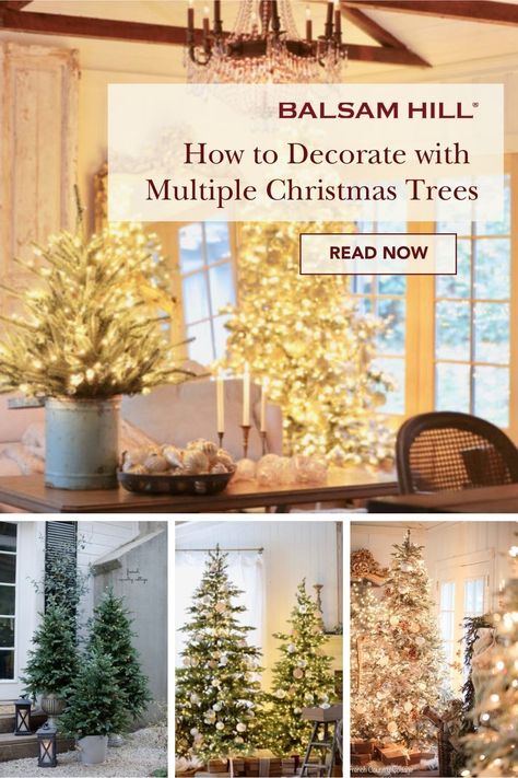 Level up your holiday centerpiece with a Christmas tree cluster display. Courtney of frenchcountrycottage shares expert tips on how to decorate one room with multiple trees. 2 Christmas Trees In One Room, Set Of 3 Christmas Trees, Multi Christmas Trees, Multiple Christmas Tree Display, Multiple Small Christmas Trees, Christmas Tree Trio Ideas, Multiple Christmas Trees In Living Room, Triple Christmas Trees, 2 Christmas Trees Together