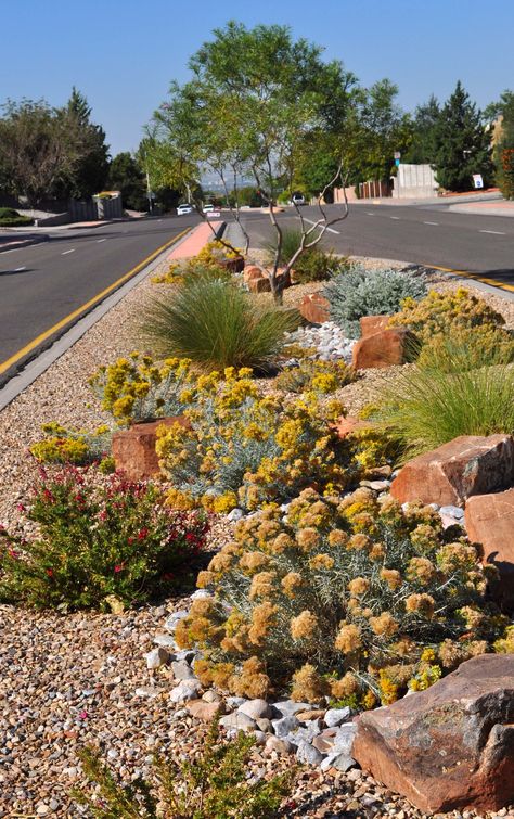 Xeriscape Ideas, New Mexico Landscape, High Desert Landscaping, Mexico Landscape, Xeriscape Landscaping, Green Infrastructure, Water Harvesting, Landscape Architecture Plan, Waterwise Garden