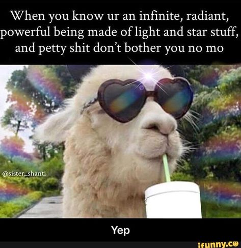 When you know ur an inﬁnite, radiant, powerful being made of light and star stuff, and petty shit don’t bother you no mo - Yep - iFunny :) Funny Spiritual Memes, Funny Koala, Mercury Retrograde, When You Know, Empath, Infj, Bones Funny, Spiritual Quotes, Llama